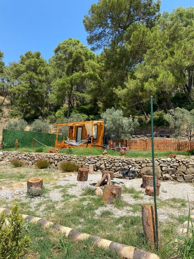 Tiny Mini House Hotel Dalaman Eksteriør billede
