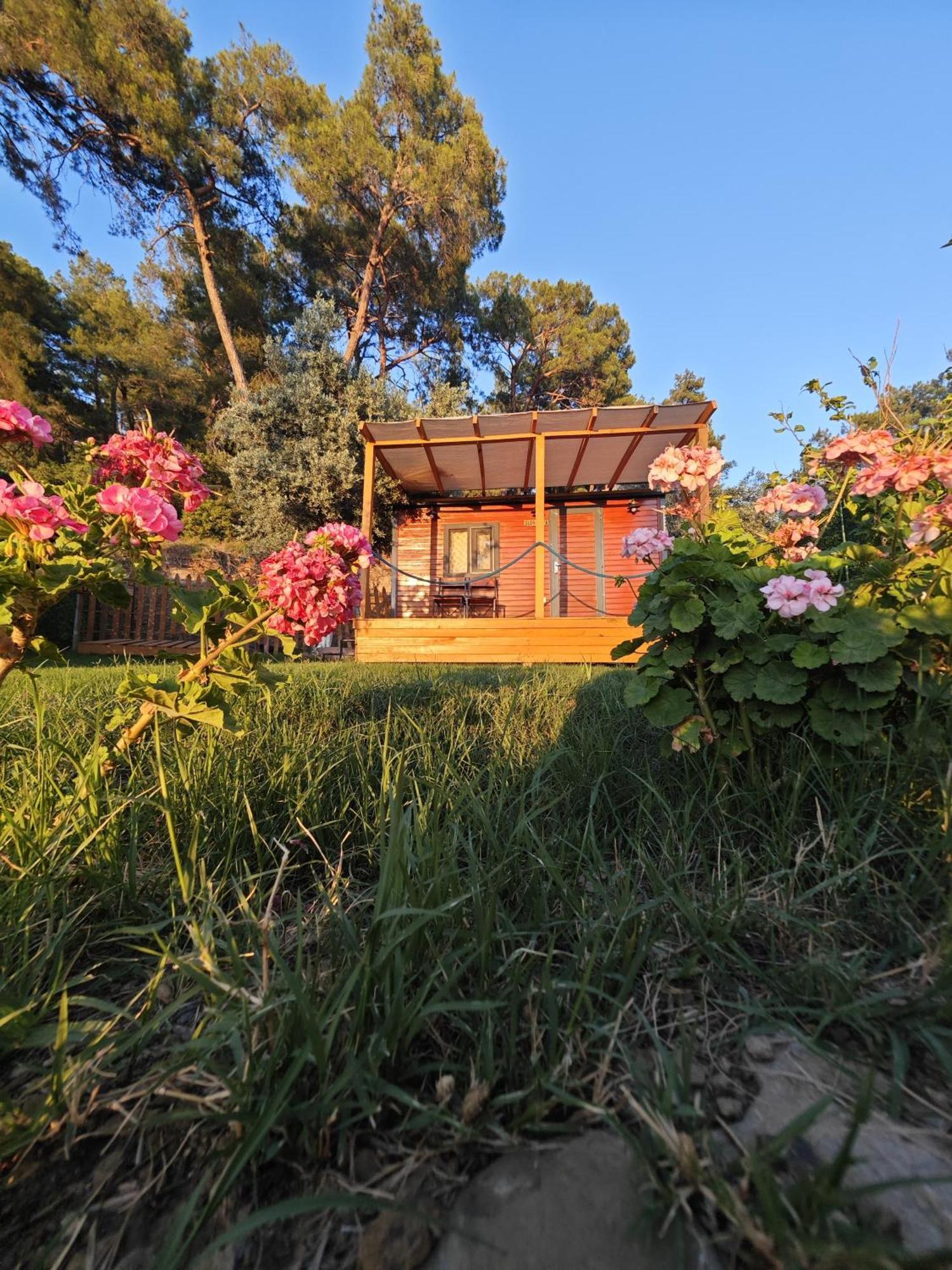 Tiny Mini House Hotel Dalaman Eksteriør billede