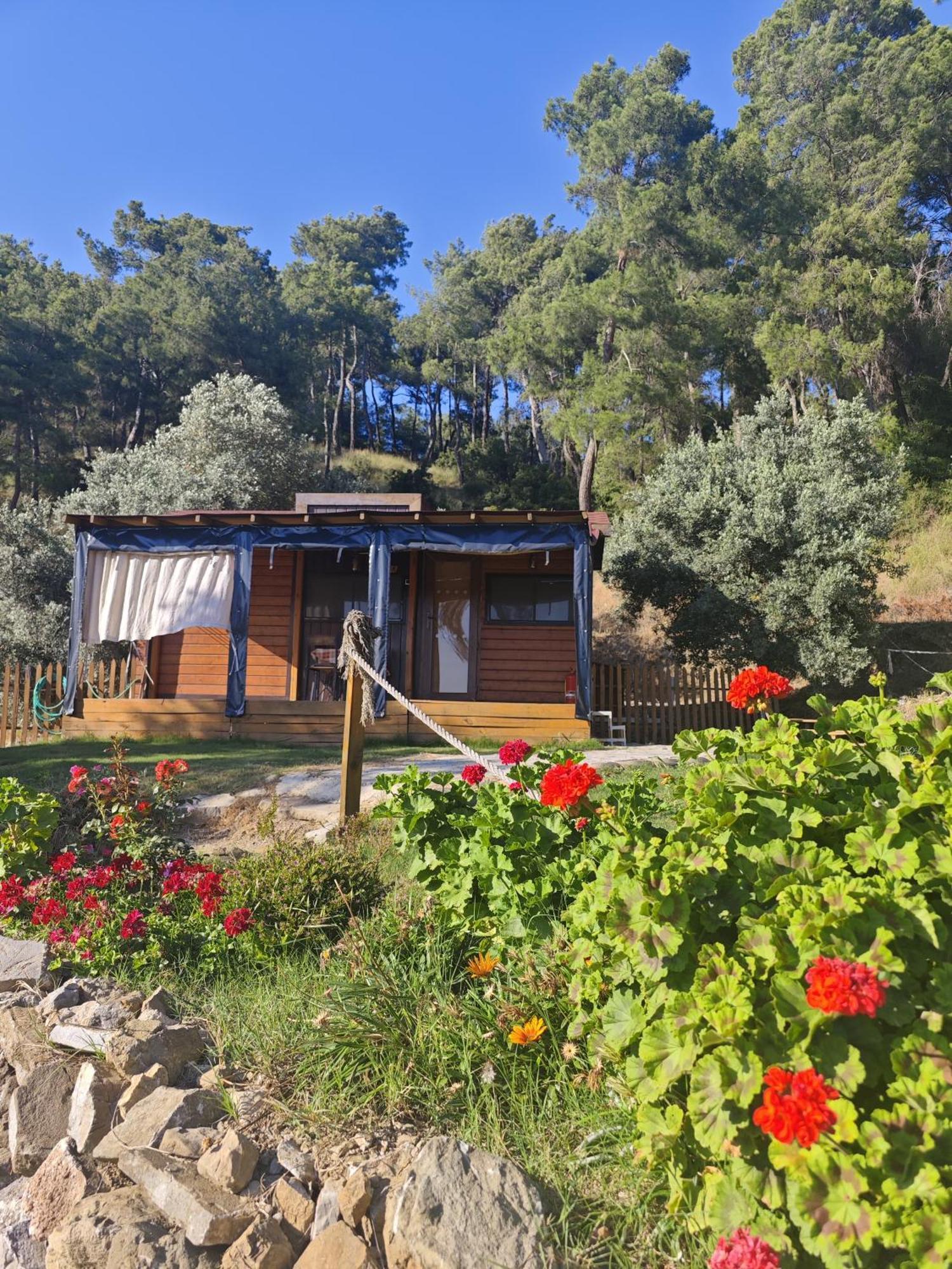 Tiny Mini House Hotel Dalaman Eksteriør billede