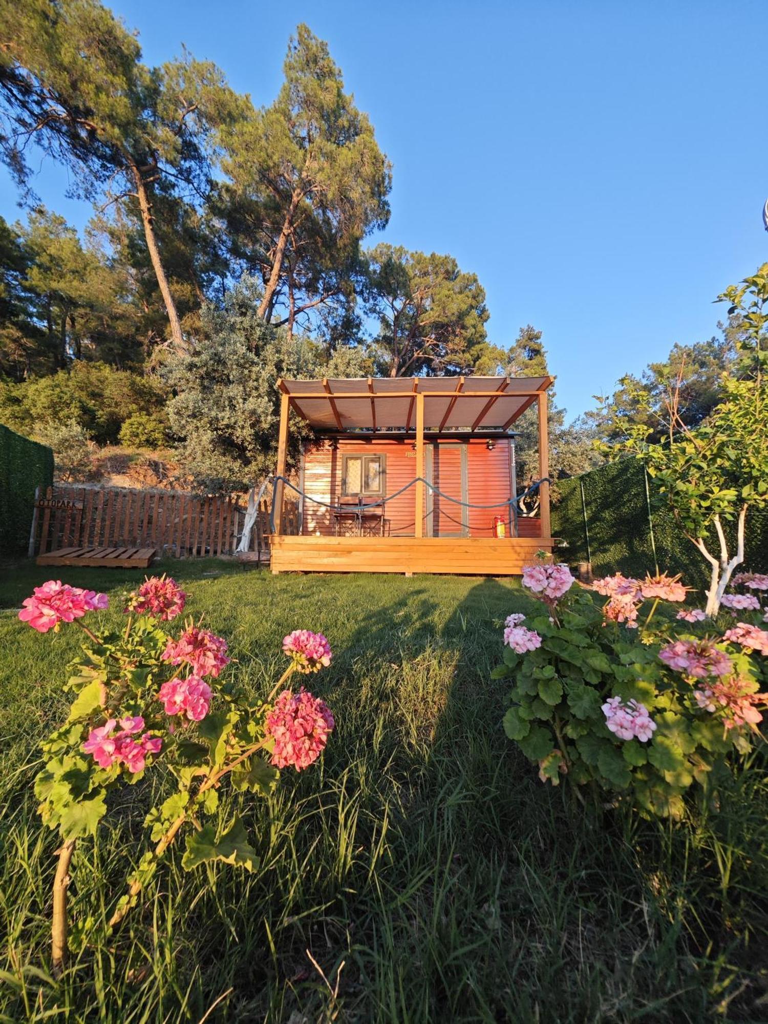 Tiny Mini House Hotel Dalaman Eksteriør billede